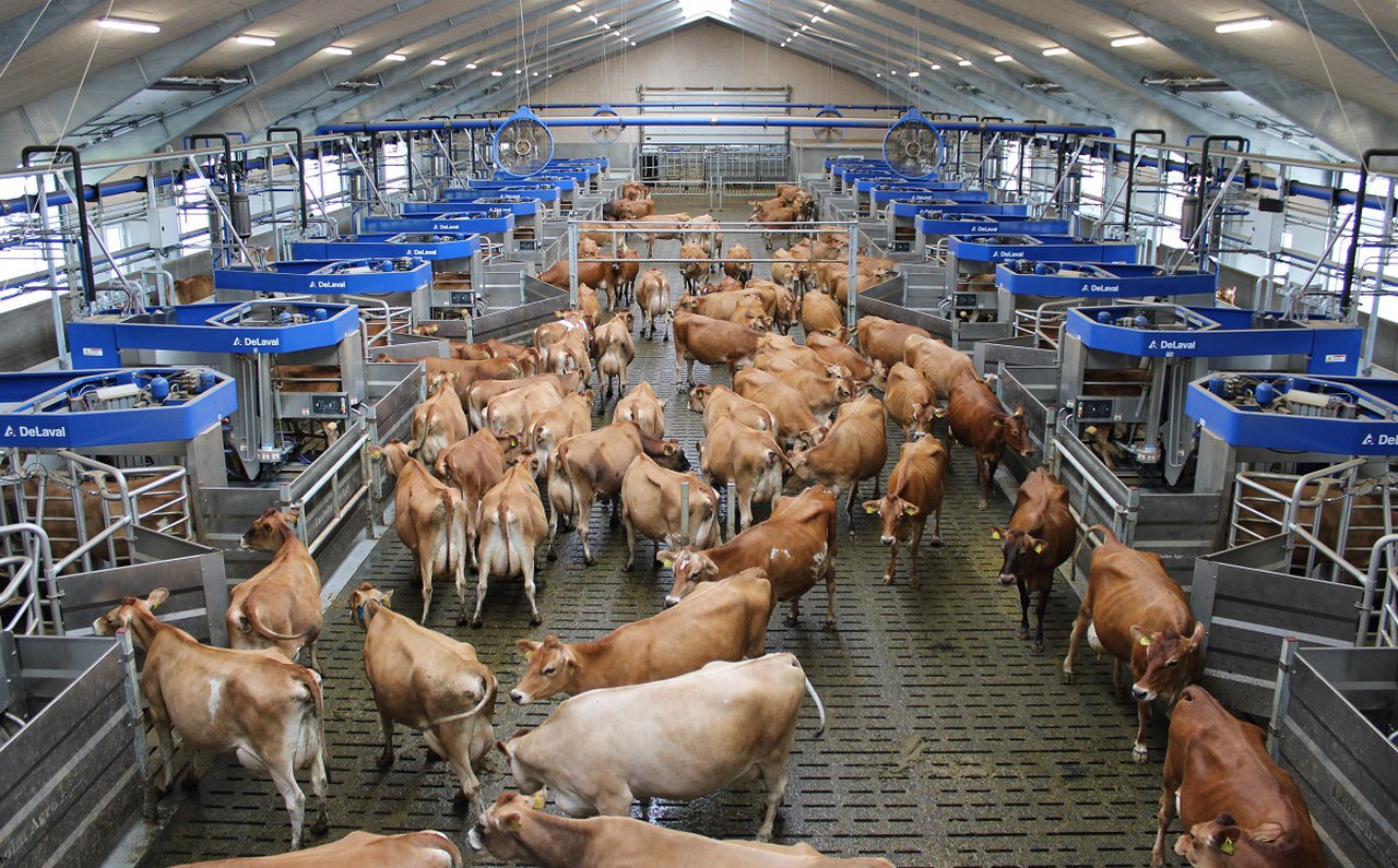 Equipos de Ordeño DeLaval