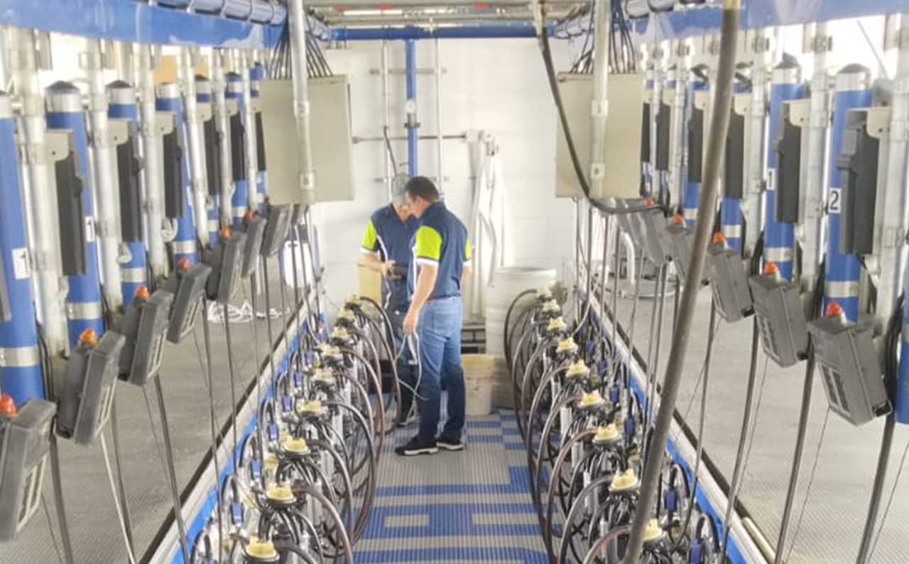 Sistemas de Ordeño en Espina de Pescado