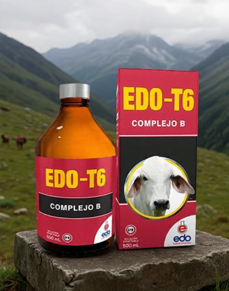EDO T6 X 100 ML