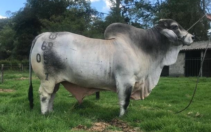 PUENTE JULIO MANSO 1/056/69