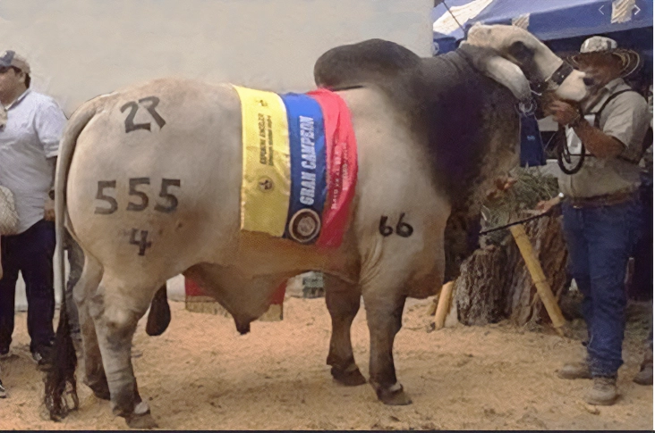 2R EL ALIVIO 666 555/4 T.E.