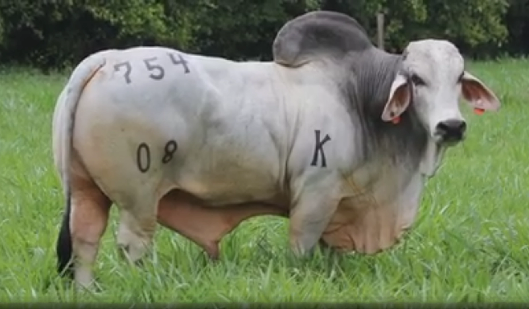 G.A POKER MANSO ZACARIAS T.E. 754/08