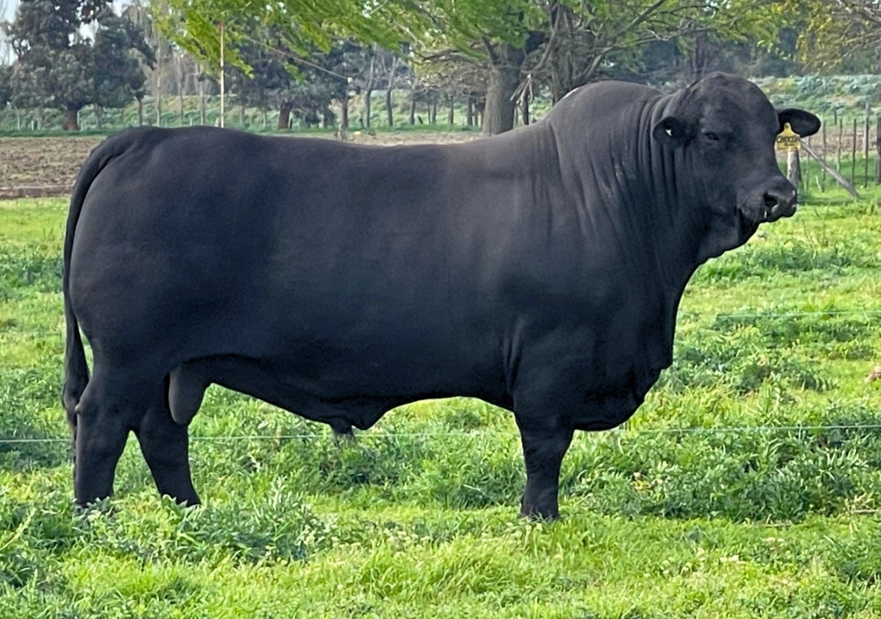 CHOCÓN - POZO 8689