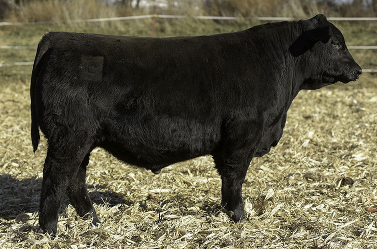 BALDRIDGE CONDUCTOR E061
