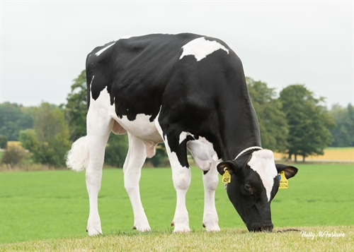 FAIRMONT RIDGELINE-ET