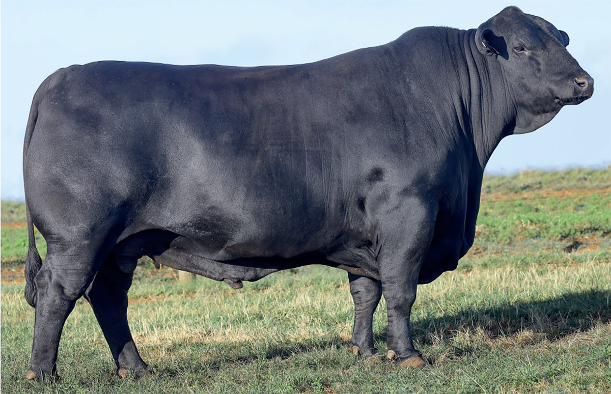 RAGNAR - PS 159776