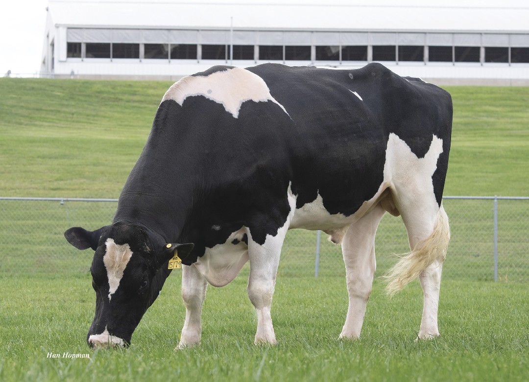 Plain-Knoll Renegad Trooper-ET